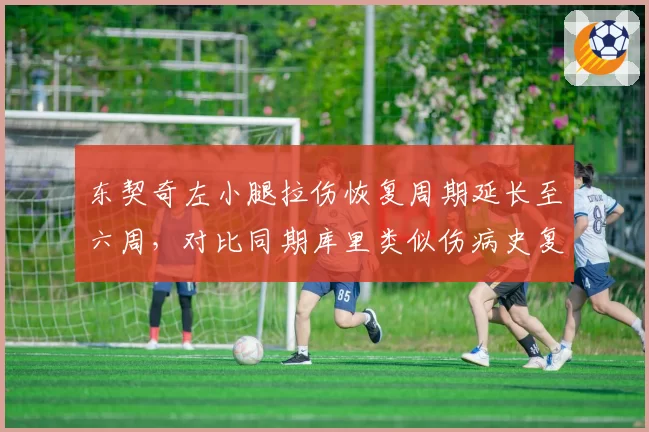 东契奇左小腿拉伤恢复周期延长至六周，对比同期库里类似伤病史复出节奏差距明显