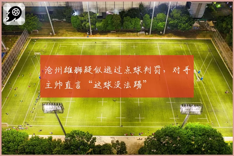 沧州雄狮疑似逃过点球判罚，对手主帅直言“这球没法踢”