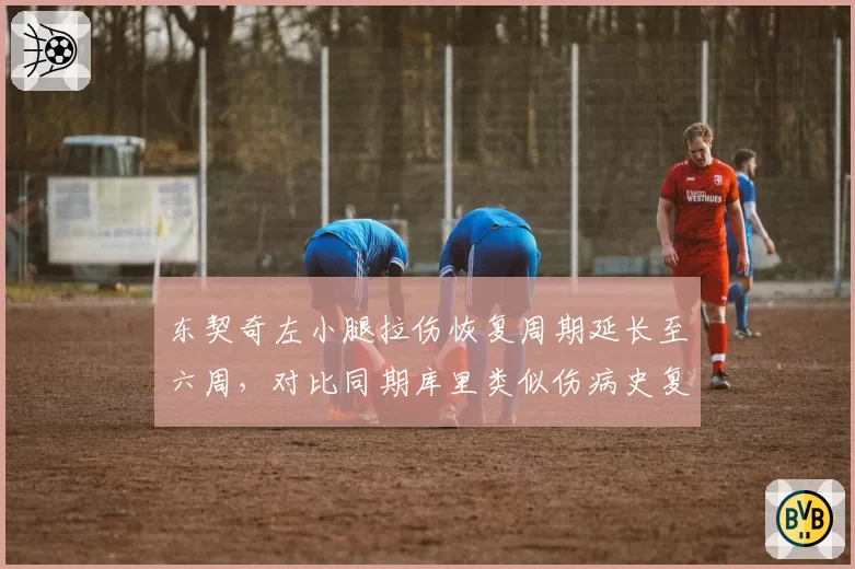 东契奇左小腿拉伤恢复周期延长至六周，对比同期库里类似伤病史复出节奏差距明显