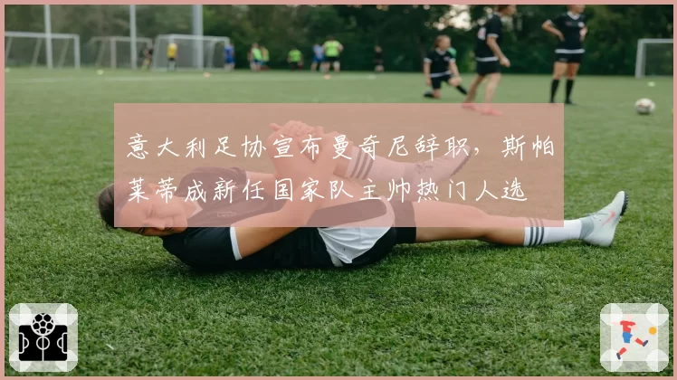 意大利足协宣布曼奇尼辞职，斯帕莱蒂成新任国家队主帅热门人选