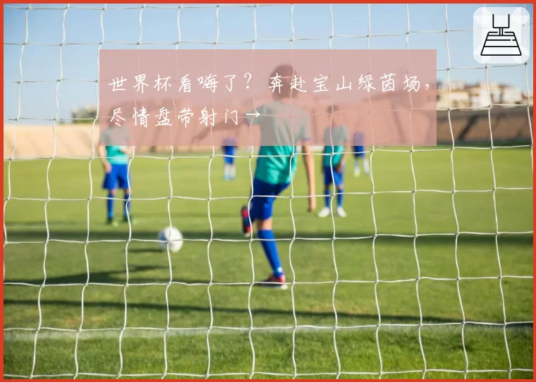 世界杯看嗨了?奔赴宝山绿茵场,尽情盘带射门→